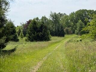 19750 S Lakeside Rd, New Buffalo, MI 49117 - photo 26