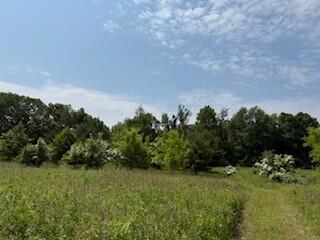 19750 S Lakeside Rd, New Buffalo, MI 49117 - photo 27