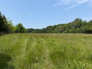 19750 S Lakeside Rd, New Buffalo, MI 49117 - photo 29
