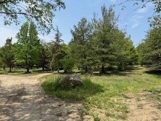 19750 S Lakeside Rd, New Buffalo, MI 49117 - photo 33