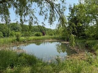 19750 S Lakeside Rd, New Buffalo, MI 49117 - photo 35