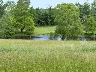 19750 S Lakeside Rd, New Buffalo, MI 49117 - photo 12