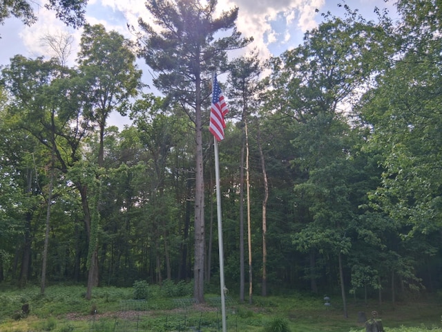 5397 E 80th St, Newaygo, MI 49337 - view of tree filled area