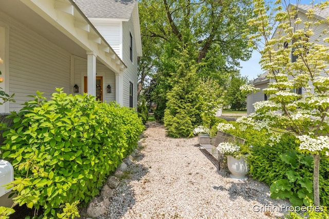 339 W Main Ave, Zeeland, MI 49464 - view of yard