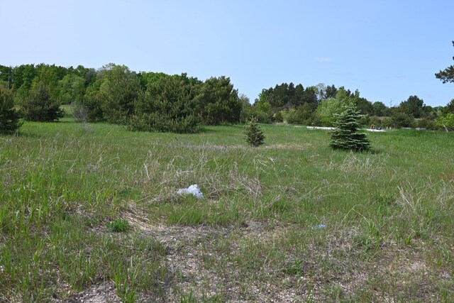 936 Motz Rd SW, Kalkaska, MI 49646 - photo 3