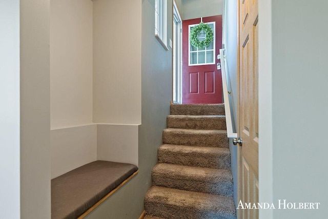 430 6th St NE, Cedar Springs, MI 49319 - view of stairs