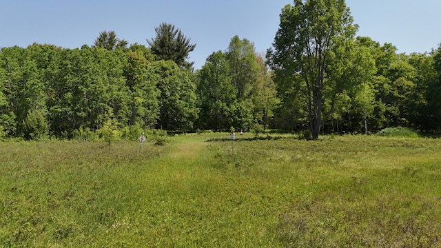 16311 Dickson Rd, Brethren, MI 49619