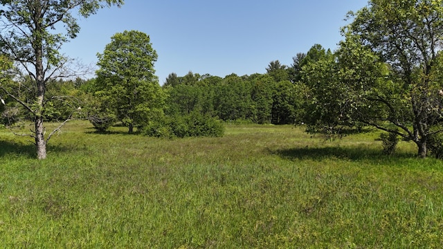 16311 Dickson Rd, Brethren, MI 49619