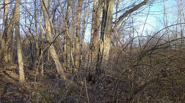 Stewart Rd, Cassopolis, MI 49031