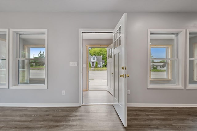 313 E Main St, Marion, MI 49665 - entrance foyer featuring wood finished floors and baseboards