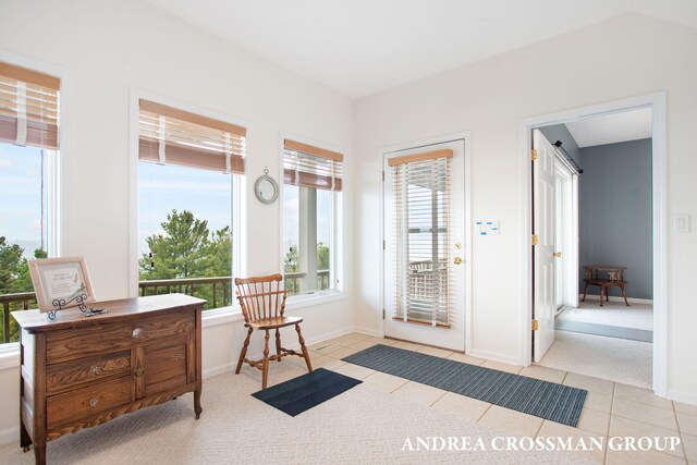 10508 Lost Valley Rd, Montague, MI 49437 - photo 47
