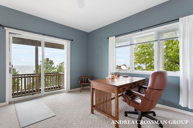 10508 Lost Valley Rd, Montague, MI 49437 - photo 53