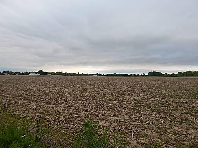6200 Yankee Rd, Ottawa Lake, MI 49267 - photo 5