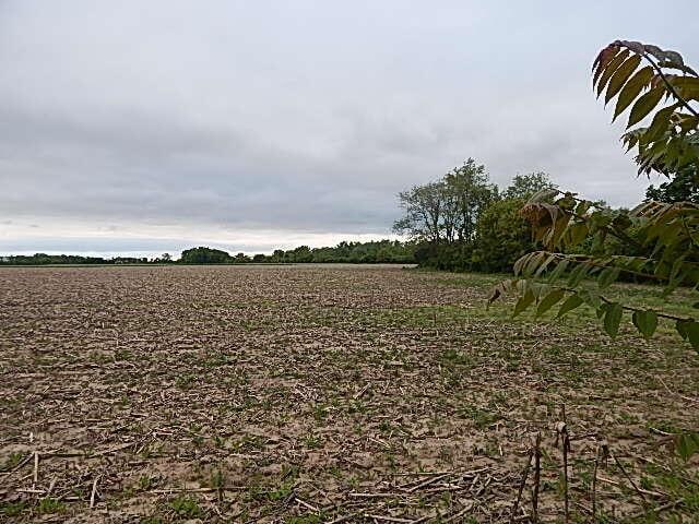 6200 Yankee Rd, Ottawa Lake, MI 49267 - photo 6