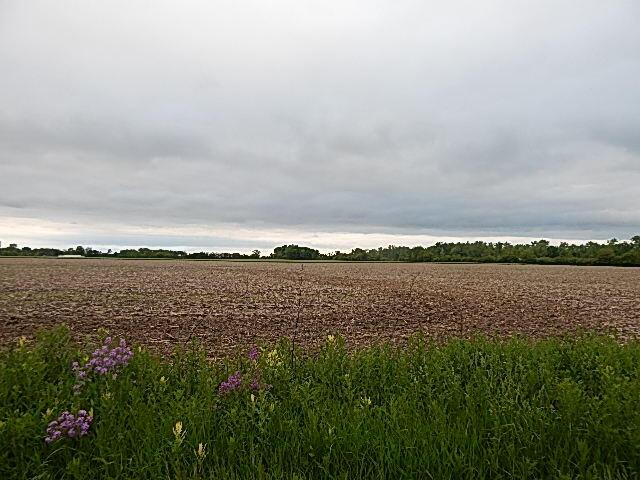 6200 Yankee Rd, Ottawa Lake, MI 49267 - photo 7