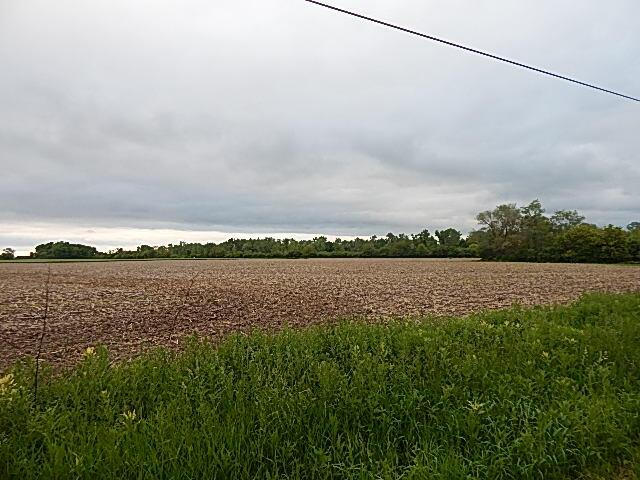 6200 Yankee Rd, Ottawa Lake, MI 49267 - photo 8