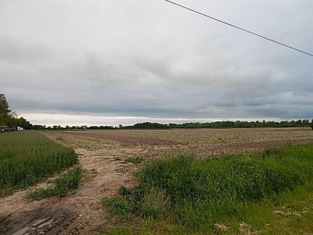 6200 Yankee Rd, Ottawa Lake, MI 49267 - photo 12