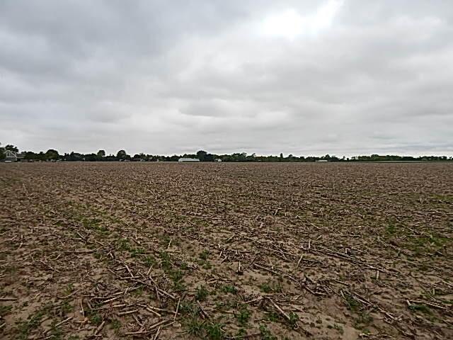 6200 Yankee Rd, Ottawa Lake, MI 49267 - photo 13