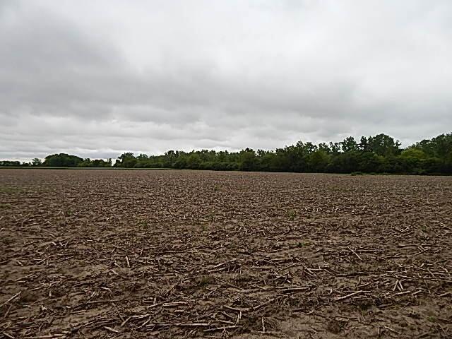 6200 Yankee Rd, Ottawa Lake, MI 49267 - photo 15