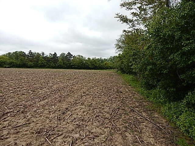 6200 Yankee Rd, Ottawa Lake, MI 49267 - photo 16