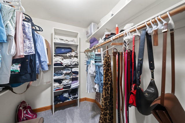 7624 Quail Ridge Dr, Dexter, MI 48130 - spacious closet with carpet floors
