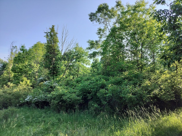 VL 56th St Unit B, Fennville, MI 49408