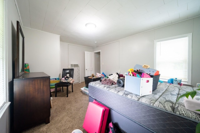 635 Sinclair Ave NE, Grand Rapids, MI 49503 - rec room featuring carpet
