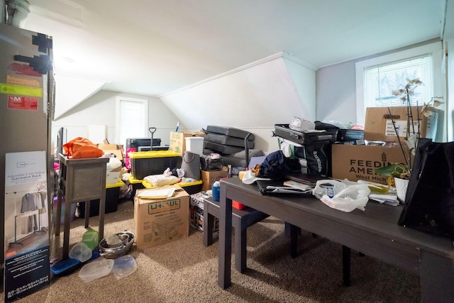 635 Sinclair Ave NE, Grand Rapids, MI 49503 - carpeted office featuring vaulted ceiling
