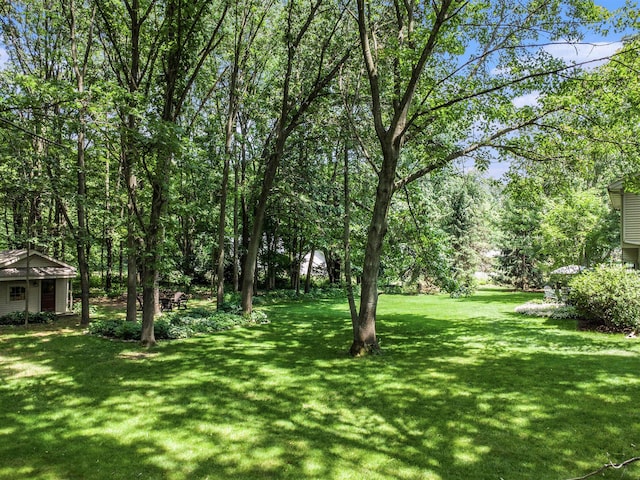 50 Country Hls, Marshall, MI 49068 - view of grassy yard