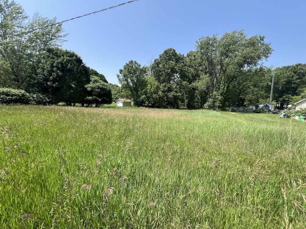 0 Prairie River Dr, Coldwater, MI 49036 - photo 2