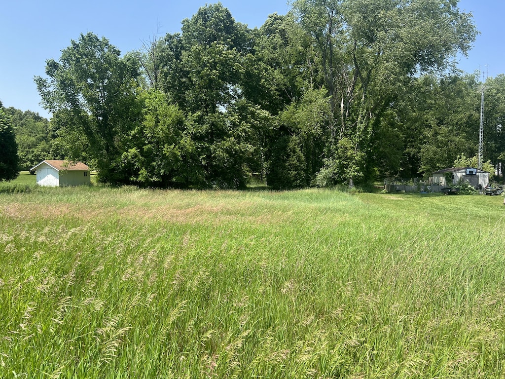 0 Prairie River Dr, Coldwater, MI 49036 - photo 1