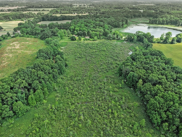 20821 J Dr N, Marshall, MI 49068 - aerial overview of property's location featuring a large body of water