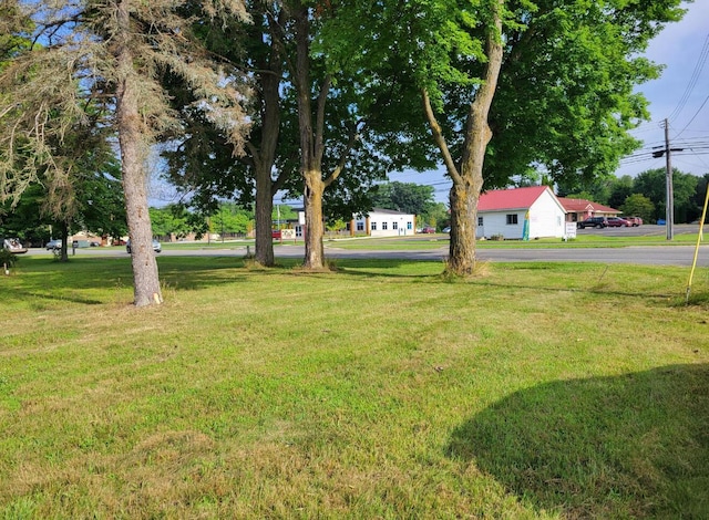 607 Shaw St, Howard City, MI 49329