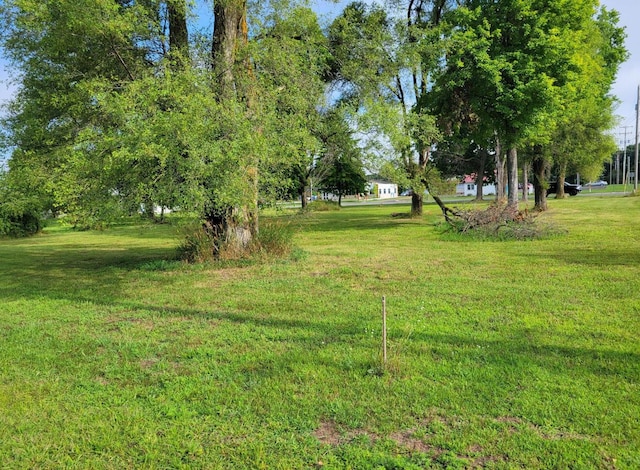 607 Shaw St, Howard City, MI 49329
