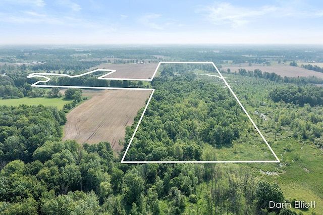 V/L Stevenson Rd, Fenwick, MI 48834