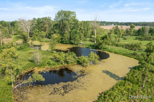 V/L Stevenson Rd, Fenwick, MI 48834