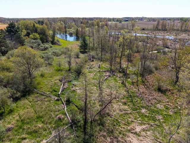 V/L Stevenson Rd, Fenwick, MI 48834