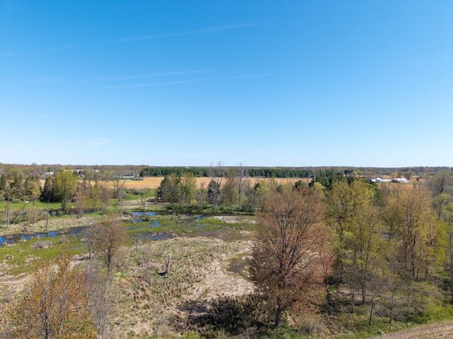 V/L Stevenson Rd, Fenwick, MI 48834