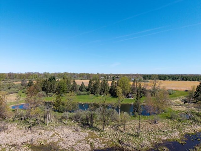 V/L Stevenson Rd, Fenwick, MI 48834