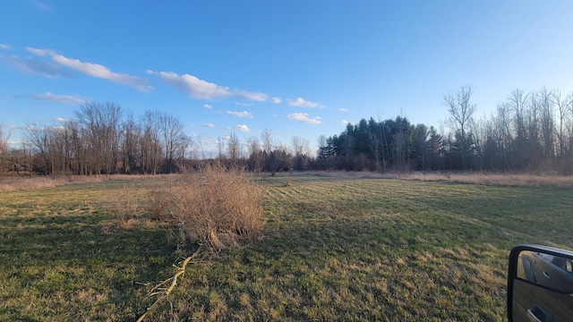 V/L Stevenson Rd, Fenwick, MI 48834