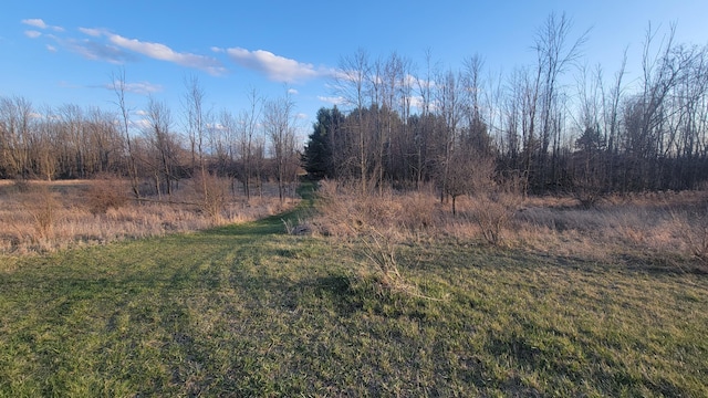 V/L Stevenson Rd, Fenwick, MI 48834