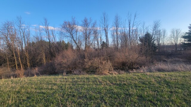 V/L Stevenson Rd, Fenwick, MI 48834