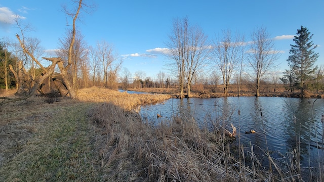 V/L Stevenson Rd, Fenwick, MI 48834