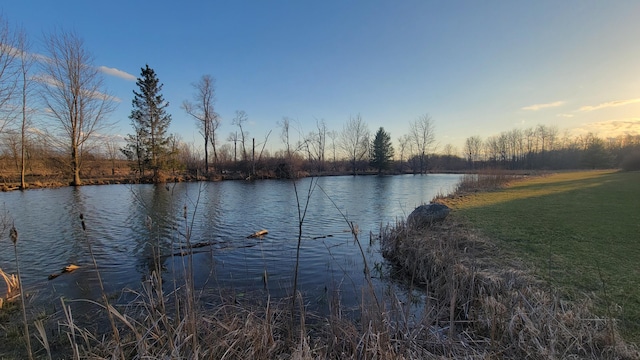 V/L Stevenson Rd, Fenwick, MI 48834