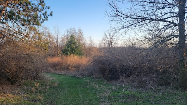 V/L Stevenson Rd, Fenwick, MI 48834