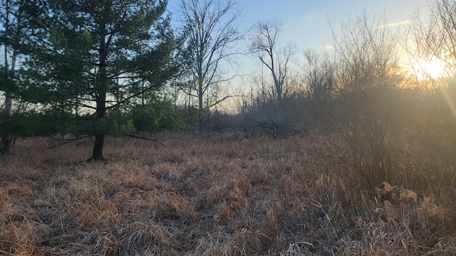 V/L Stevenson Rd, Fenwick, MI 48834