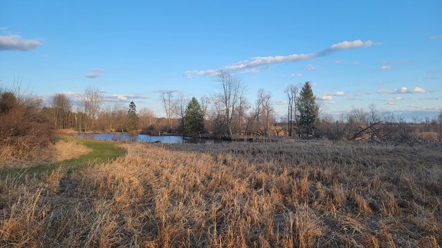 V/L Stevenson Rd, Fenwick, MI 48834