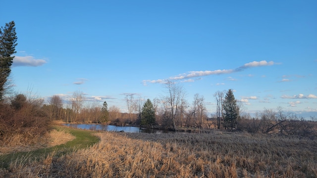 V/L Stevenson Rd, Fenwick, MI 48834