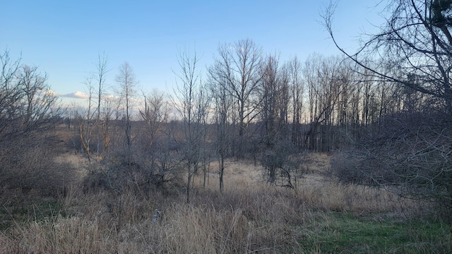 V/L Stevenson Rd, Fenwick, MI 48834