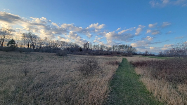 V/L Stevenson Rd, Fenwick, MI 48834